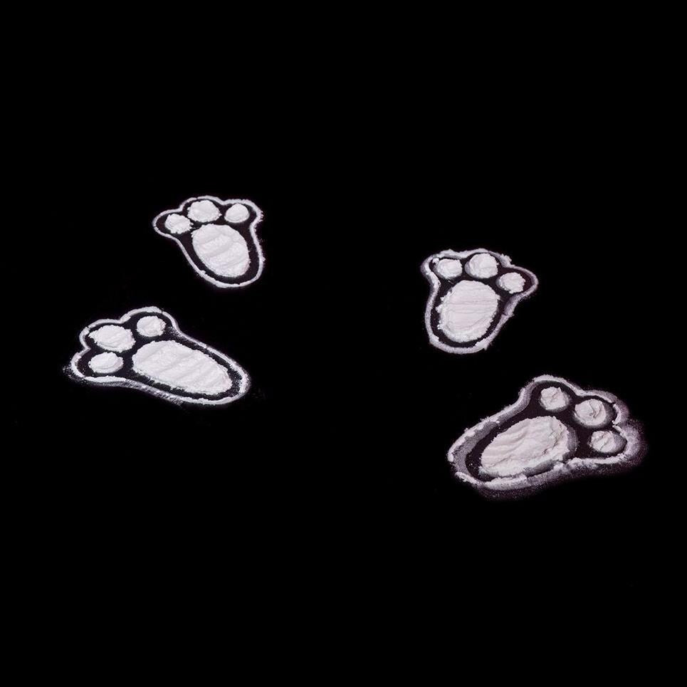Easter Bunny Footprint Stencil – Reusable 3D Printed PLA Tracks for Surprise Kit