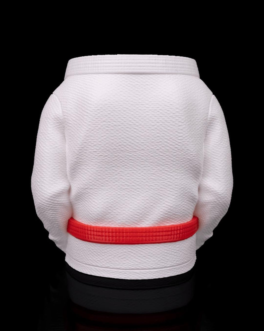 Gi holder from the back, showing the belt