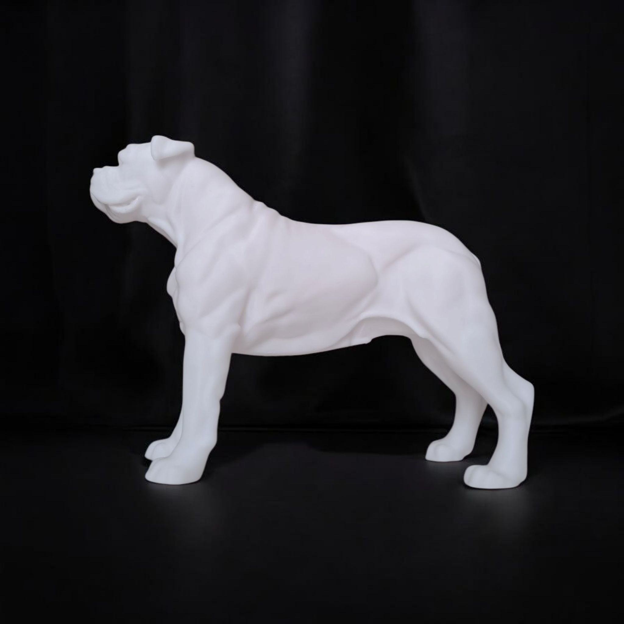 White dog statue on a black background