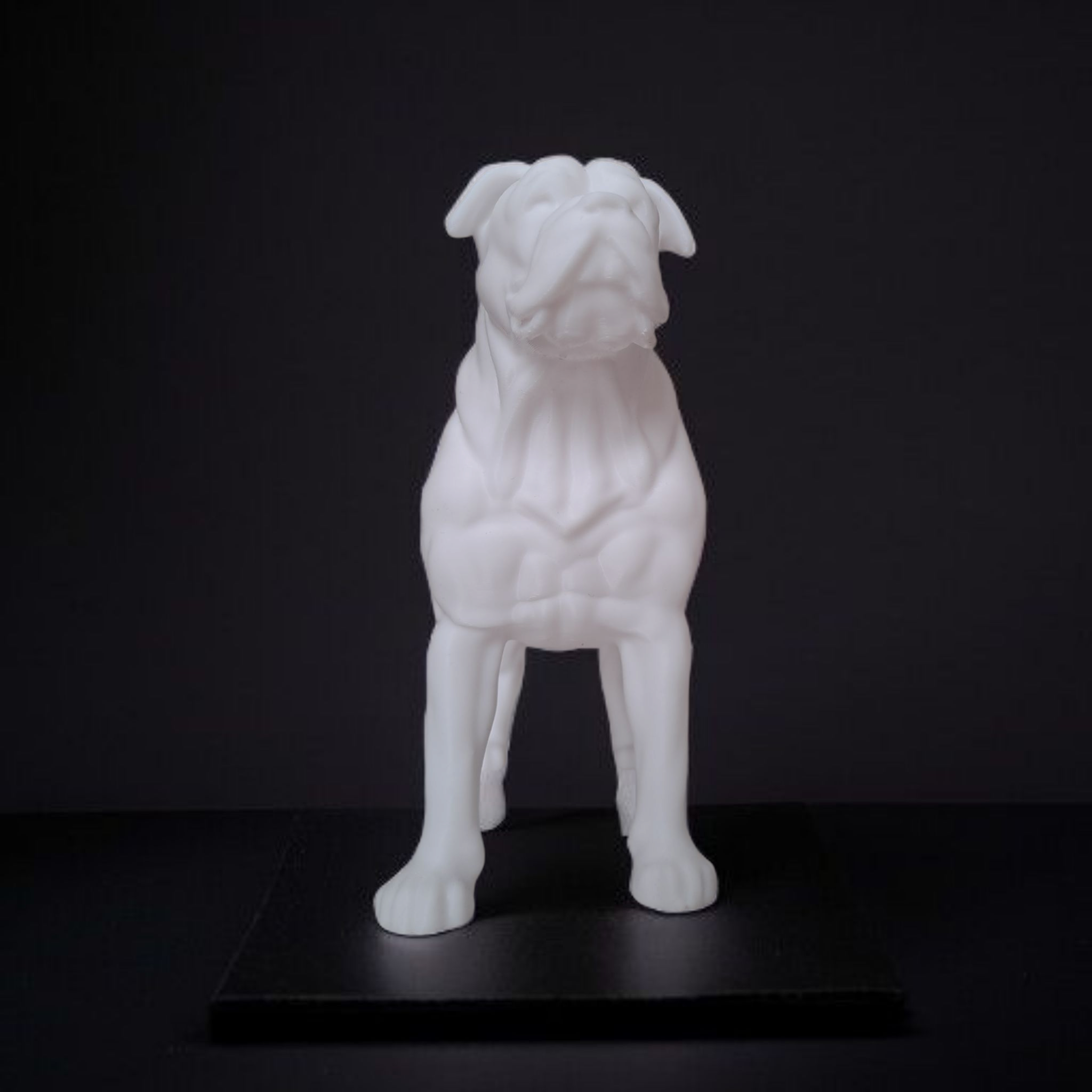 White dog statue on a black background