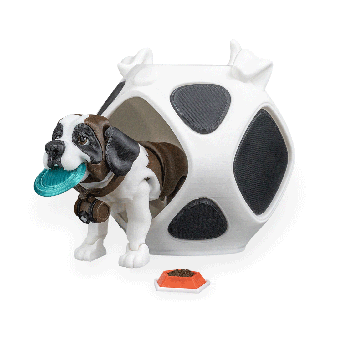 Bernie the St. Bernard