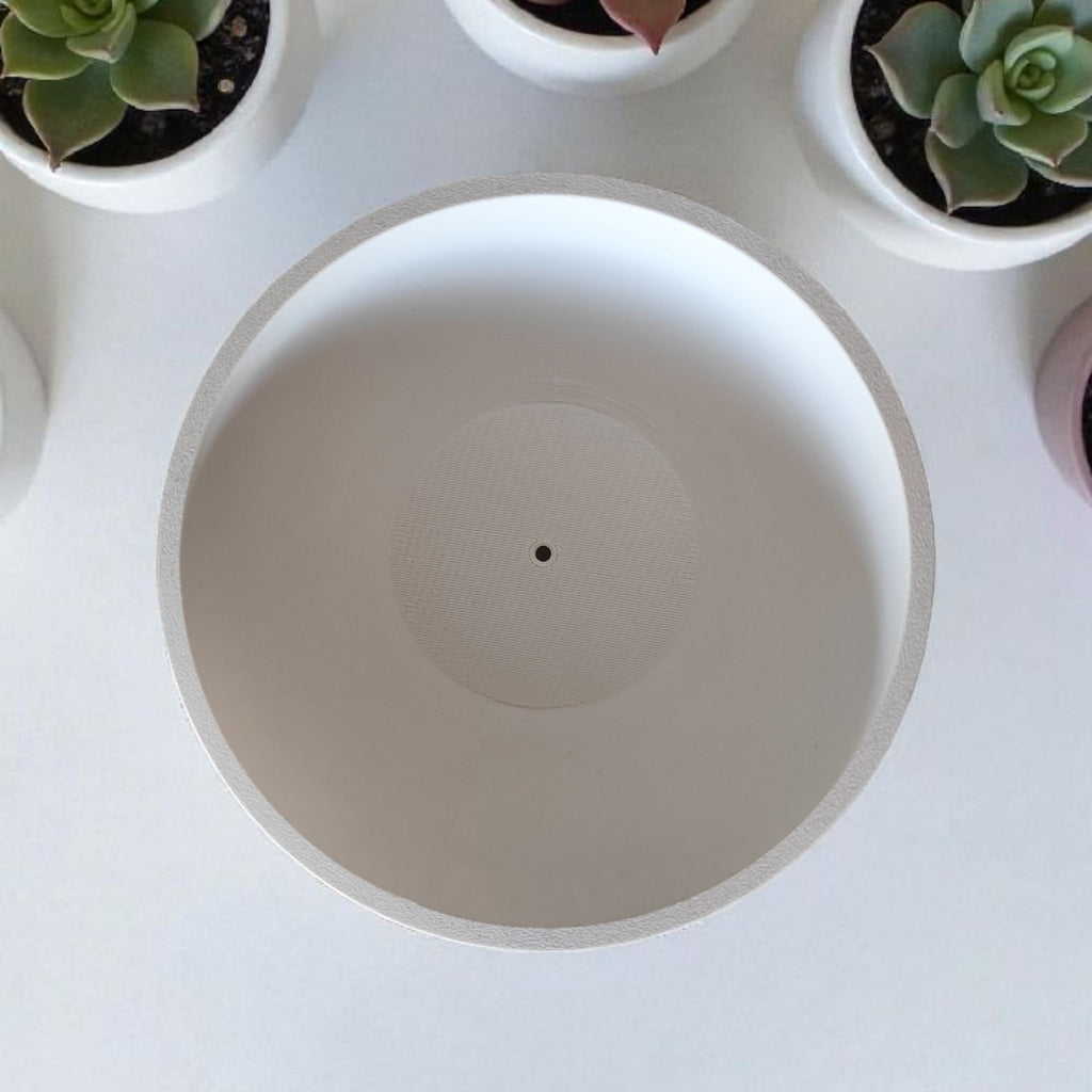 Close-up of a white planter with a central drainage hole, surrounded by other planters and succulents.