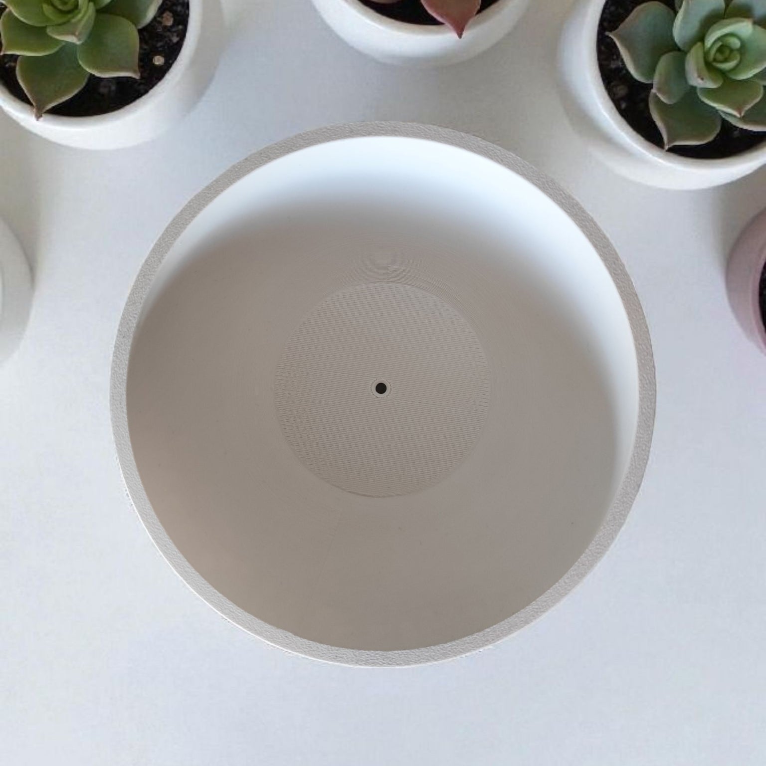 Close-up of a white planter with a central drainage hole, surrounded by other planters and succulents.