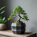 Bonsai tree in a geometric pot on a wooden surface with a gray background