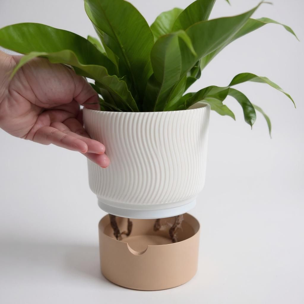 White ribbed planter with a green plant on a white background