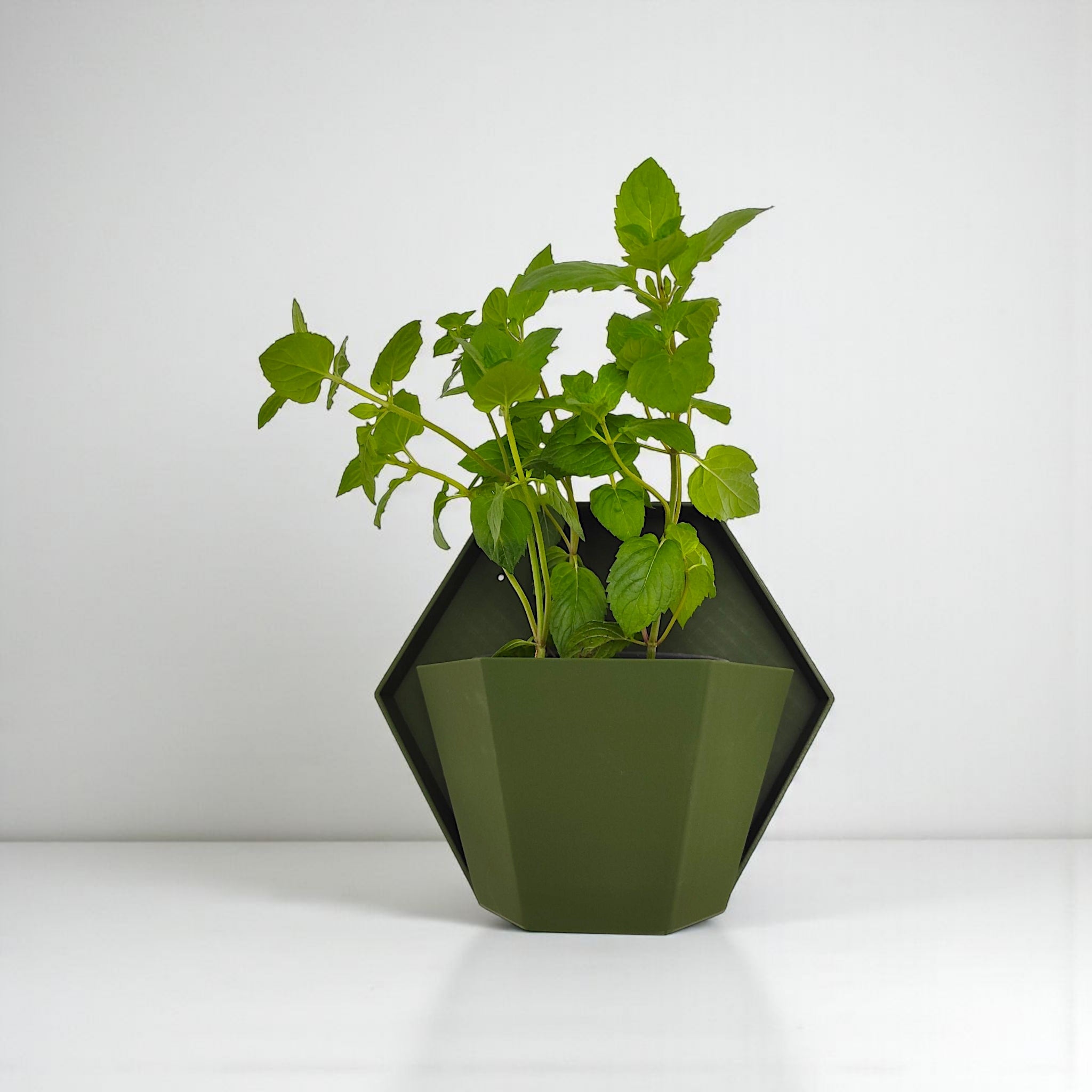 Green geometric planter with a plant on a white background