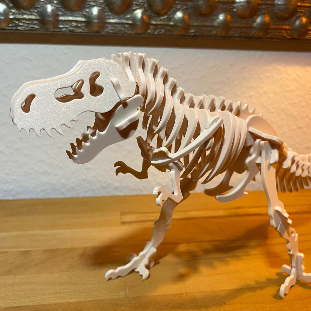 Close-up of the T-Rex skeleton's head and ribs