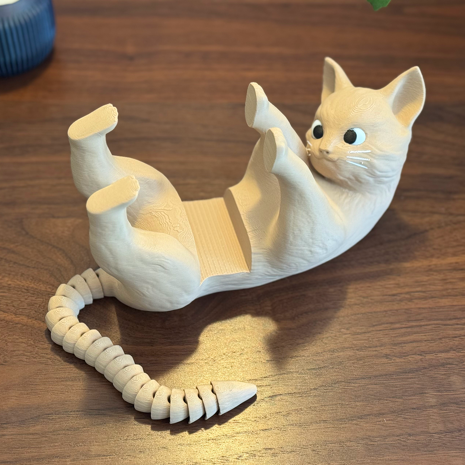 Cat Book Display