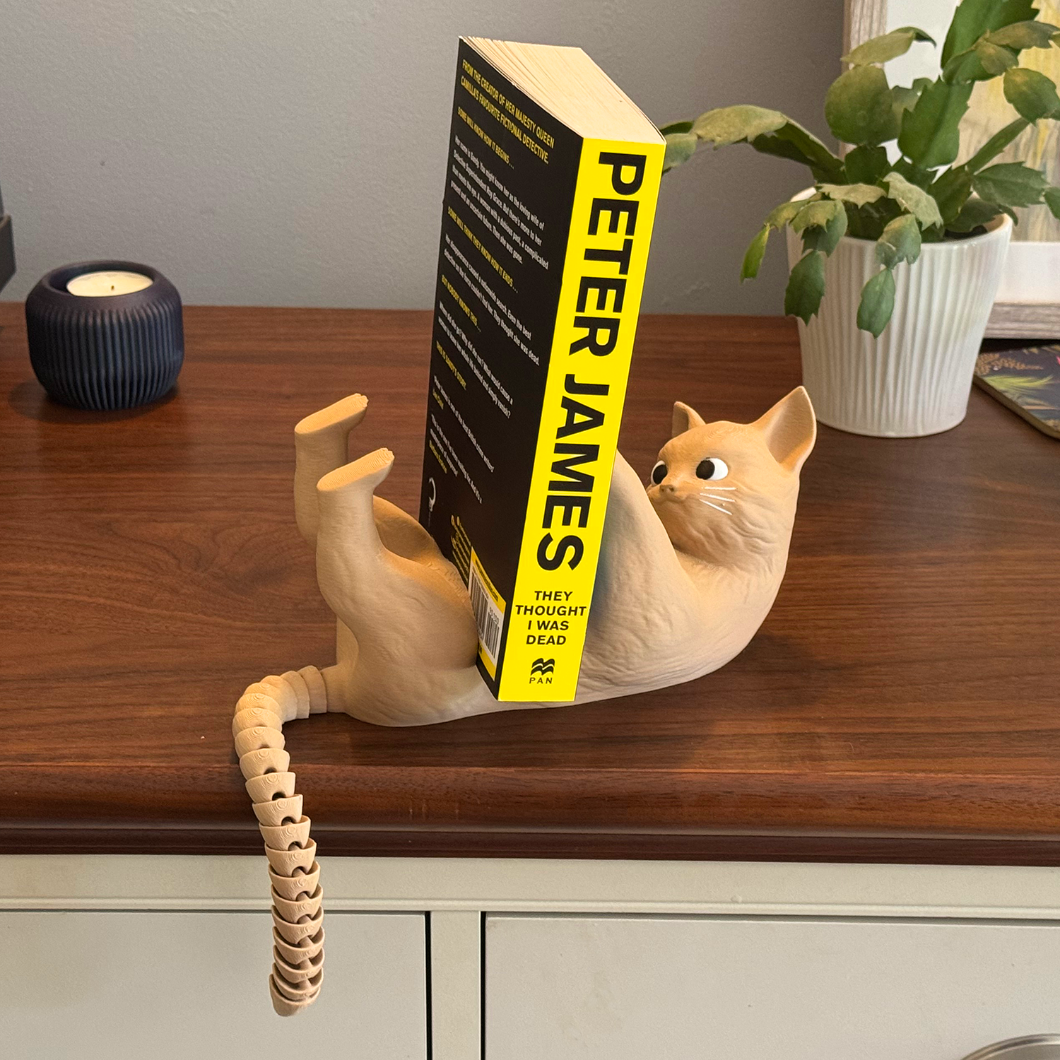 3D Printed Cat Book Display