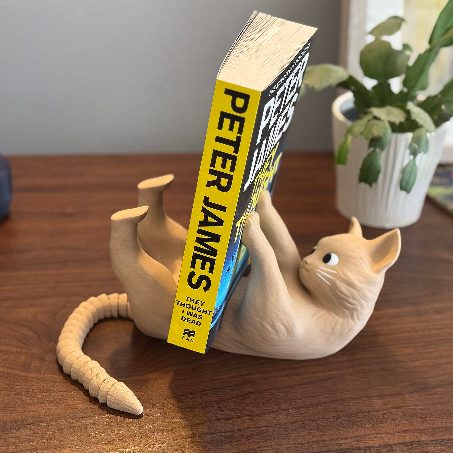Cat Book Display with Articulating Tail