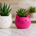 Adorable Cat Planter
