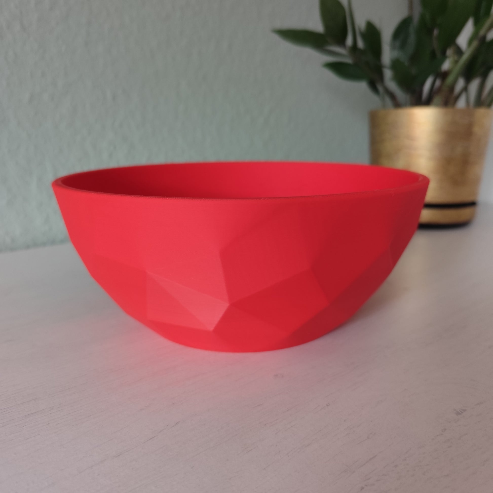 Red bowl on a light surface with a blurred plant in the background