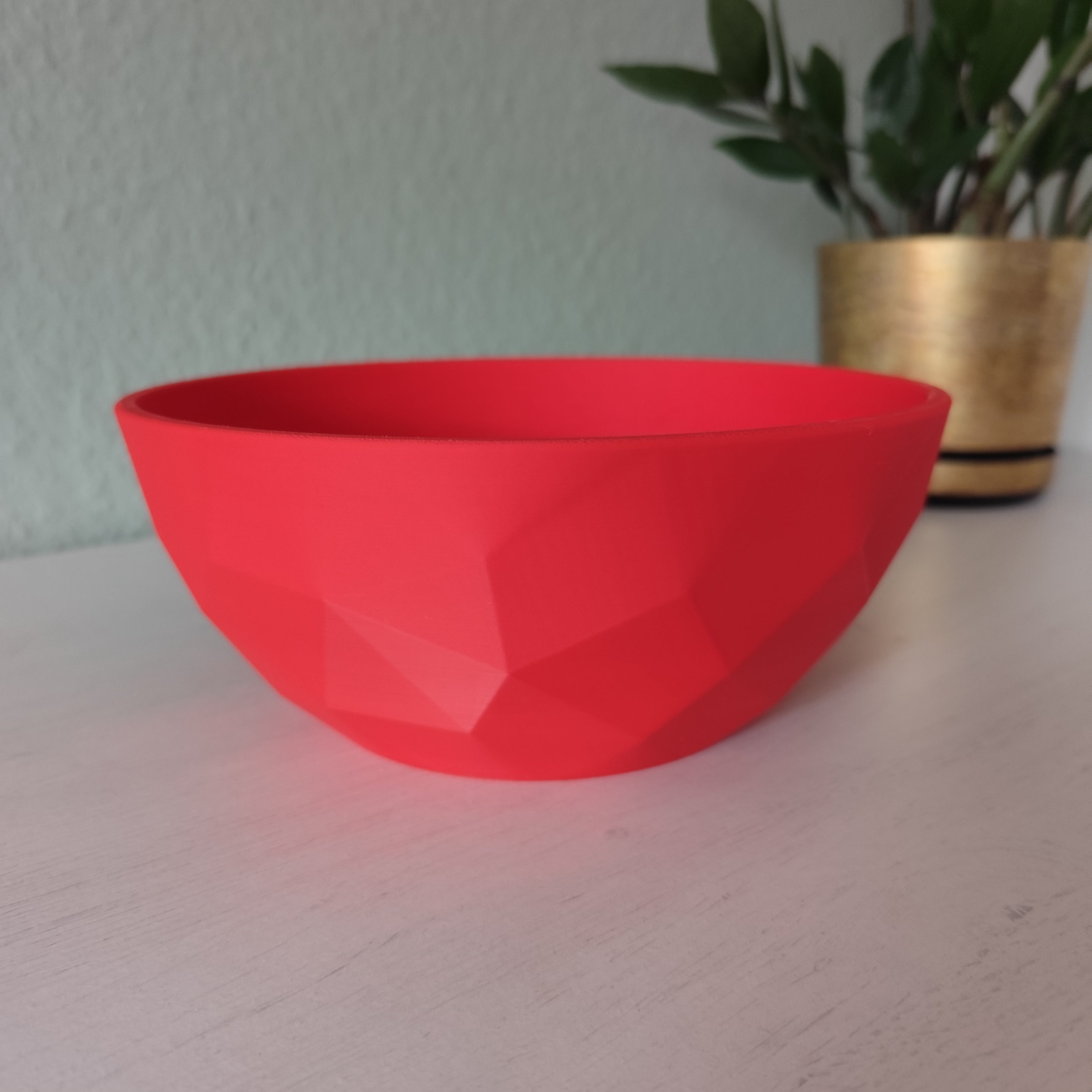 Red bowl on a light surface with a blurred plant in the background