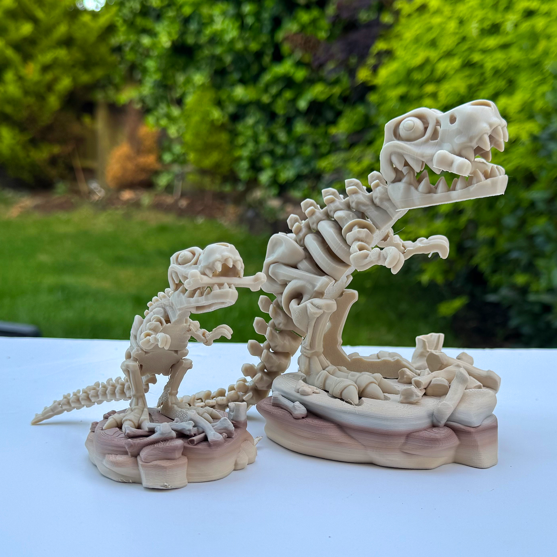 Articulated T-Rex Skeleton