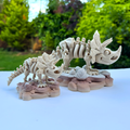 Articulated Triceratops Skeleton